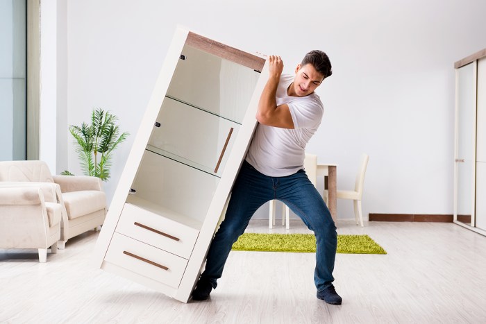 Moving furniture help