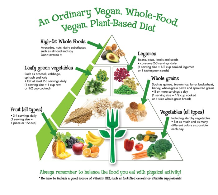 Vegan diet definition