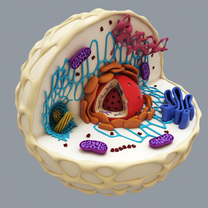 3d cell project model