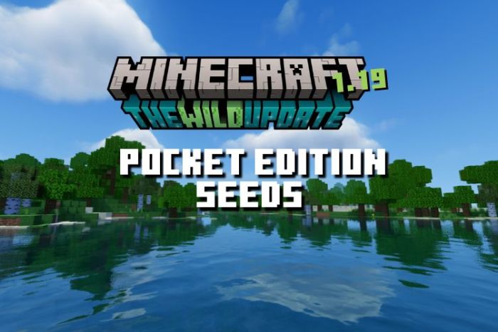 3D Minecraft Pocket Edition (PE)